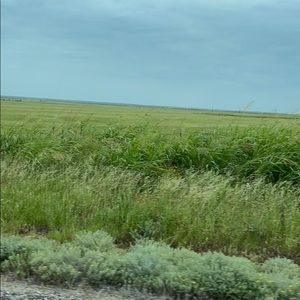 Meet your Posher, Sally